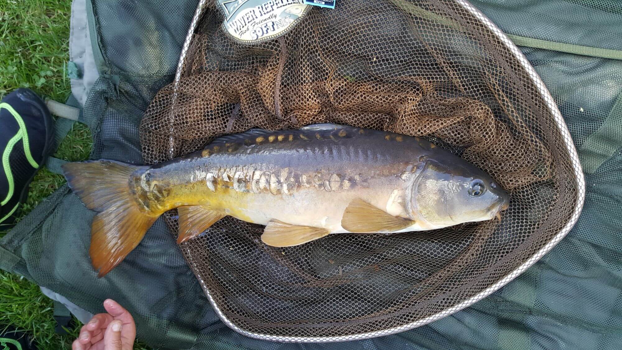 August 22nd - Jackie